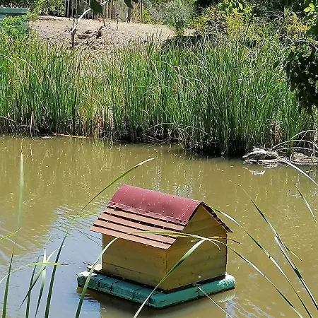 Glamping Tinyhome Pond Cabin Talurdo Retreat * Sao Bartolomeu de Messines