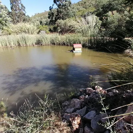 Hébergement de vacances Glamping Tinyhome Pond Cabin Talurdo Retreat